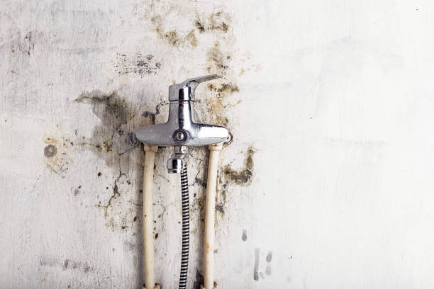 Best Mold Testing  in Kelseyville, CA