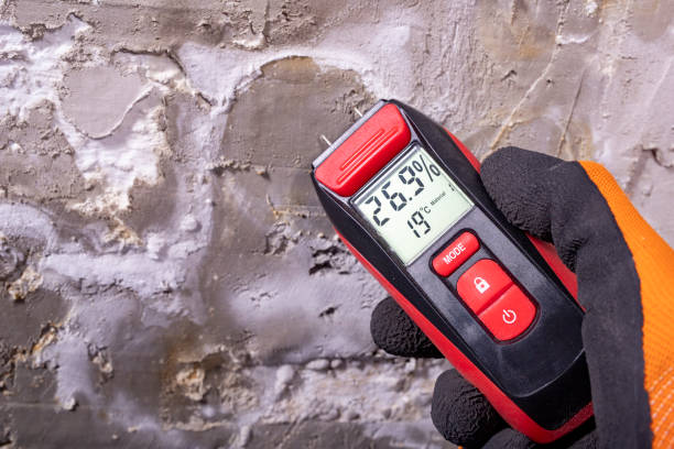 Best Commercial Mold Removal  in Kelseyville, CA