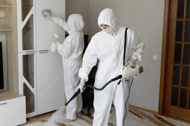 Best Mold Damage Repair  in Kelseyville, CA