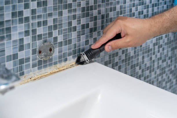 Best Toxic Mold Removal  in Kelseyville, CA