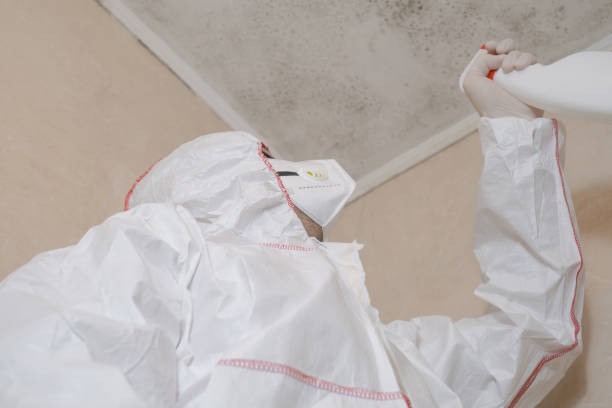 Best Local Mold Removal Service  in Kelseyville, CA